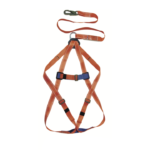 ARNES 1 ARGOLLA CON LINEA DE VIDA INTEGRADA